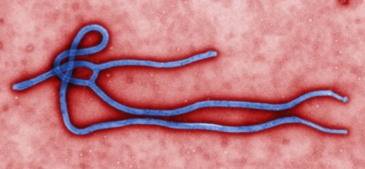Ebola outbreaks