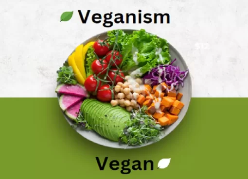 vegan food list